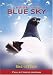 Search : Share the Blue Sky -  Pigeon Stories