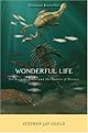 Wonderful Life