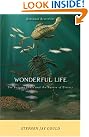 Wonderful Life: The...