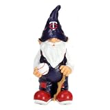 Minnesota Twins 11