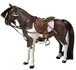 English Riding Set