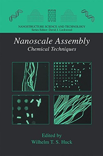 Nanoscale Assembly (Nanostructure Science and Technology)