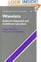 Wavelets: Calderón-Zygmund and Multilinear Operators (Cambridge Studies in Advanced Mathematics)