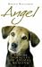 Angel: And Other Miracles of Holistic Animal Healing