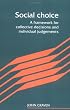 Social Choice: A Framework for Collective Decisions and Individual Judgements