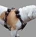8lbs Genuine Leather Weighted Pulling Dog Harness 
