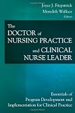 The Doctor of Nursing Practice and Clinical Nurse Leader: Essentials of Program Development and Implementation for Clinical Practice