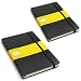 Moleskine Large Squared Notebook 2-Pack Image