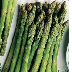 Mary Washington Asparagus Plants Viking Crowns Roots Garden Bare Root - 25 Ea