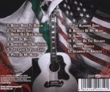 Irishman in America
