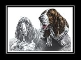 Basset Hound Dog Art - Limited Edition Print