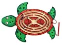 Magnetic Turtle Maze