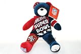 SF 49ers vs Miami Dolphins RARE Offical NFL Super Bowl XIX (19) Collectable Plush Bear
