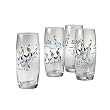 Pfaltzgraff Penguin Skate Set Of Four 20-Ounce Coolers
