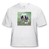 Dogs Chinese Crested Hairless - Chinese Crested Hairless - T-Shirts