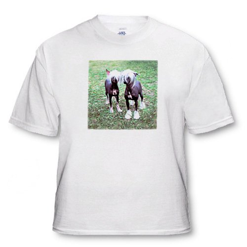 Dogs Chinese Crested Hairless - Chinese Crested Hairless - T-Shirts