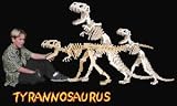 DaMert 40 Inch Long Tyrannosaurs Wooden Model by Toysmith