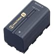Sony NPF770 L Series InfoLithium Battery for DCRVX2100, HDRFX1, HDRFX7, HD1000U & HVRZ1U (Retail Packaging)