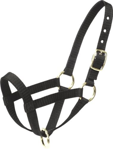 Abetta Llama/Sheep Halter - Medium - Black