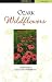 Book Ozark Wildflowers