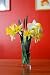 Bouquet De Fleurs - 18"H x 12"W - Peel and Stick Wall Decal by Wallmonkeys