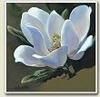 Tile Trivet ~Magnolia Green Background ~ 6 inch x 6 inch ~ code 765