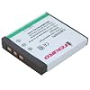 iTEKIRO 800mAh Replacement Battery for Polaroid t1031 t1035 t1234 t1235 t1235uc Digital Cameras