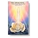 The Awakening... Eternal Youth, Vibrant Health, Radiant Beauty The Awakening... Eternal Youth, Vibrant Health, Radiant Beauty Cover image