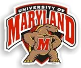 Maryland Terrapins 12 Car Magnet