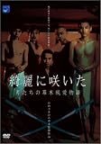 野村貴浩｜綺麗に咲いた 男たちの幕末純愛物語