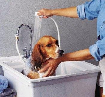 Indoor - Outdoor Pet Shower