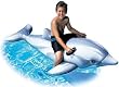 Ride-On Dolphin Float