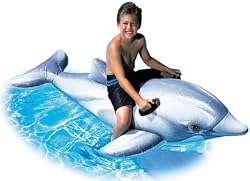 Ride-On Dolphin Float
