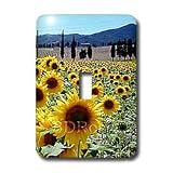 Flowers - Sunflowers - Light Switch Covers - single toggle switch