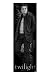 Twilight - Edward - Door Poster - 53cm x 158cm