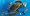 Finding Nemo (2 Disc Collector's Edition) [2003]