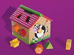 Boite a Formes Sorting Box