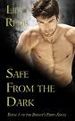 Safe From the Dark (Volume 1) 