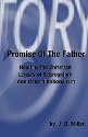 Promise Of The Father: Healing The Christian Legacy Of Segregation And Denominationalism