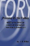 Image of Promise Of The Father: Healing The Christian Legacy Of Segregation And Denominationalism