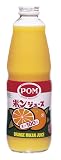 �ݥ󥸥塼�� �� (6����)