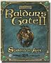 Baldur's Gate 2: Shadow Of Amn