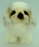 ��������DOG �V�[�Y�[ �ʂ������ �摜