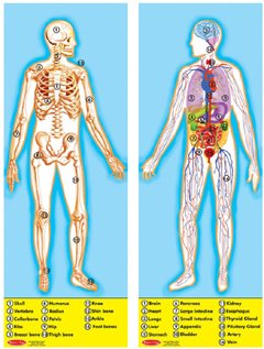 41RSD1JYGNL Melissa and Doug 100 piece Deluxe Double Sided Human Anatomy Cardboard Floor Puzzle