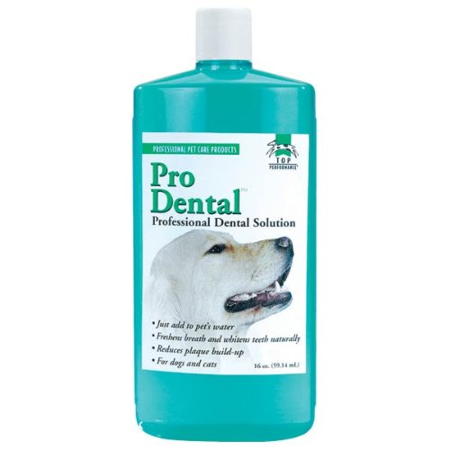dental for cats:Top Performance Dog and Cat ProDental Solution, 32-Ounce