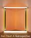Books : Dan Flavin: A Retrospective