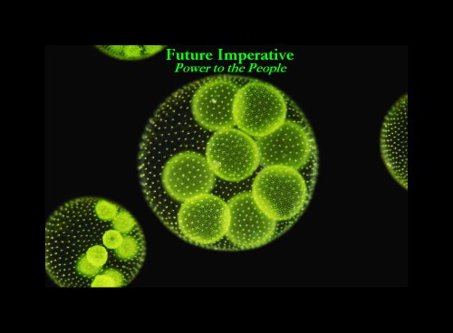 Future Imperative: Power to the People