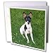 Dogs Fox Terrier - Toy Fox Terrier 1 - Greeting Cards-12 Greeting Cards with envelopes