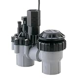 Rain Bird 1-Inch Professional Grade Sprinkler System Anti-Siphon Valve Das Asvf-100 by Rain Bird
