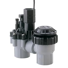 Rain Bird 3/4-Inch Professional Grade Sprinkler System Anti-Siphon Valve #DAS075/ASVF